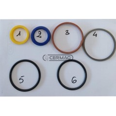 Juego de juntas para cilindro de dirección 84036 Ognibene