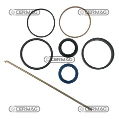 Kit de juntas para cilindro de dirección 1609086M91C | NewgardenAgri.com