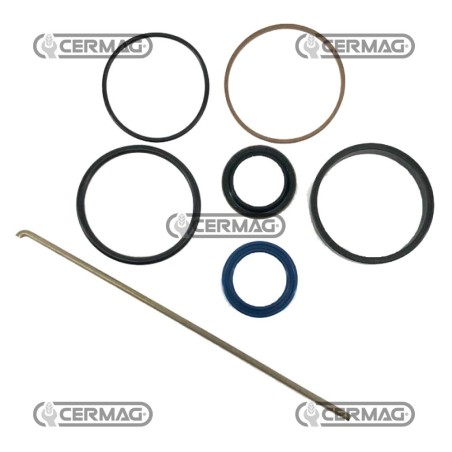 Steering Cylinder Gasket Kit 1609086M91C | NewgardenAgri.com