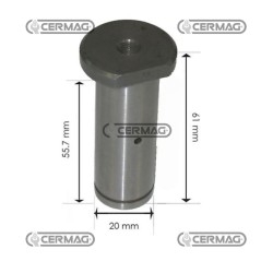 Perno sterzo 4987671C
