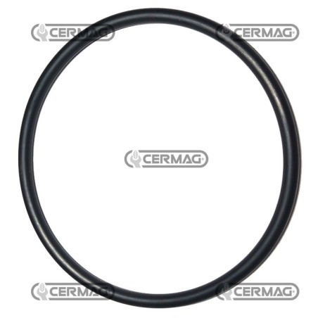 Junta tórica de estanqueidad. Sección: 5,33 mm. Diámetro interior: 100,97 mm. 14472881C | NewgardenAgri.com