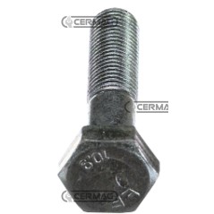 bullone M10x1.25x45mm Cl.10.9 NH11234731 | NewgardenAgri.com