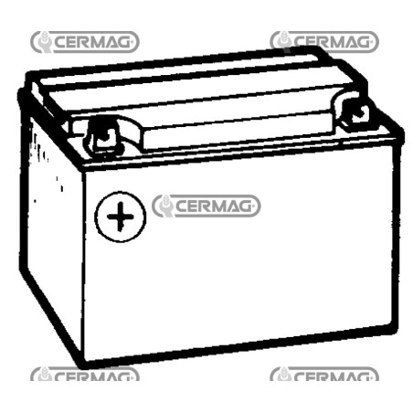 Batteria standard 12V - ENERGECO Capacità 24 Ah Polo positivo Sinistra 35855 | NewgardenAgri.com