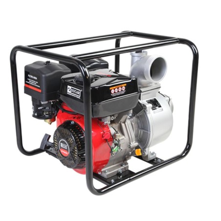 DP 100 DUCAR SERIES Petrol-driven motor pump with 4-stroke OHV 270 cc engine | NewgardenAgri.com