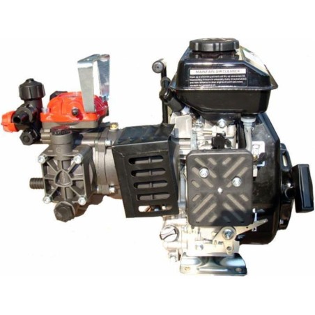 Motor pump AR 252 with internal combustion engine for spraying 73284 | NewgardenAgri.com