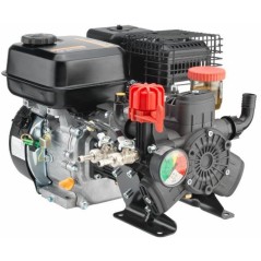 Motor-Pumpe AR 403 mit Verbrennungsmotor zum Sprühen 92888 | NewgardenAgri.com