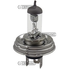 Bombilla de 2 luces Voltaje 12 V Potencia 40/45 W Casquillo P45T 35894 HELLA | NewgardenAgri.com