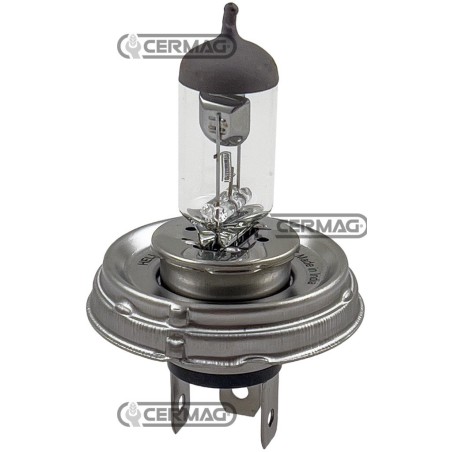 2-flammige Glühbirne, Spannung 12 V, Leistung 40/45 W, Fassung P45T 35894 HELLA | NewgardenAgri.com