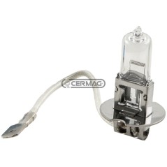 Bombilla de 1 luz, voltaje 24 V, potencia 70 W, casquillo PK22S E13 35913 HELLA | NewgardenAgri.com