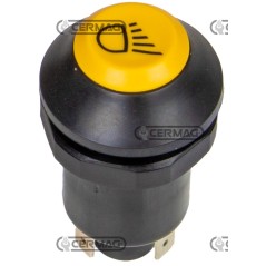 Pulsante con simbolo faro da lavoro 37061 PNEUTRON | NewgardenAgri.com