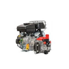 Pompe à moteur M 20 VR 15 IMOVILLI moteur RATO R 80-V 22 l/1' - 25 bar - 700 RPM | NewgardenAgri.com