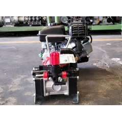 Pompe à moteur MINI VR 15 IMOVILLI moteur RATO R 80-V 25 l/1' - 25 bar - 700 RPM | NewgardenAgri.com