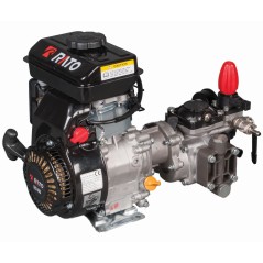 Motopompe PRO 25/30 IMOVILLI moteur RATO R80-V 21 l/1' - 30 bar - 800 RPM | NewgardenAgri.com