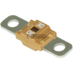 Fusible MIDIVAL de color naranja, intensidad de corriente 30 A, 36963 | NewgardenAgri.com