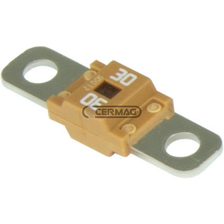 Fusible MIDIVAL de color naranja, intensidad de corriente 30 A, 36963 | NewgardenAgri.com