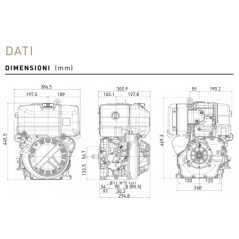 LOMBARDINI Dieselmotor 15LD350 4-Takt-Motorgrubber TWIST9DS 02010623 | NewgardenAgri.com