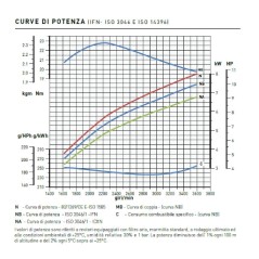 Moteur diesel LOMBARDINI 15LD440 4 temps cultivateur JOKER 11DS 02010649 | NewgardenAgri.com