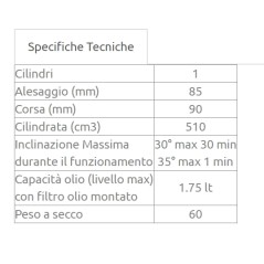Moteur diesel LOMBARDINI 3LD510 tracteur à pied 4 temps MY SPECIAL14A.E 02010635 | NewgardenAgri.com