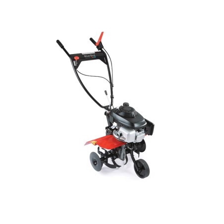 BLUE BIRD MTL 60 rotary tiller with LONCIN 196 cc engine 1 forward drive tiller 60 cm | NewgardenAgri.com