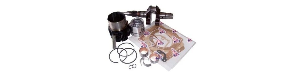 Repuestos motores Lombardini y Ruggerini | Newgardenparts